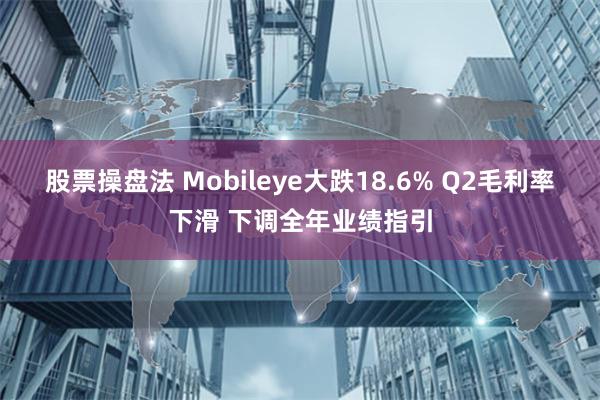 股票操盘法 Mobileye大跌18.6% Q2毛利率下滑 下调全年业绩指引