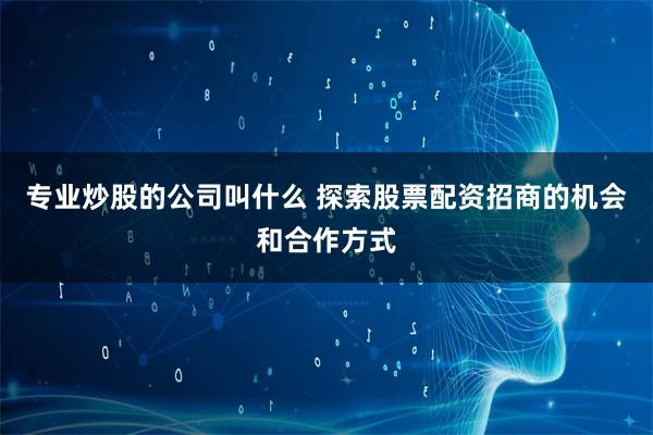 专业炒股的公司叫什么 探索股票配资招商的机会和合作方式